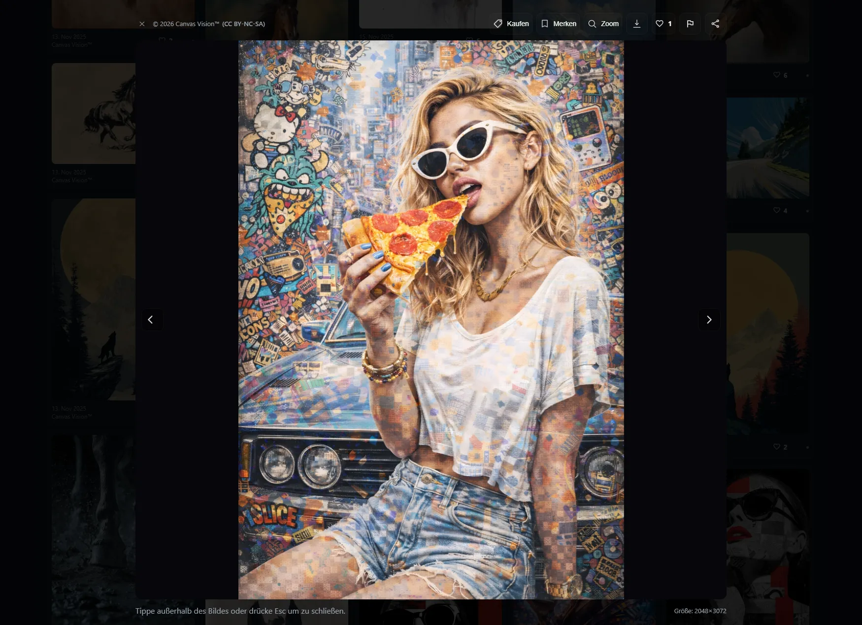 Canvas Vision™ (Community) – Fotos 2